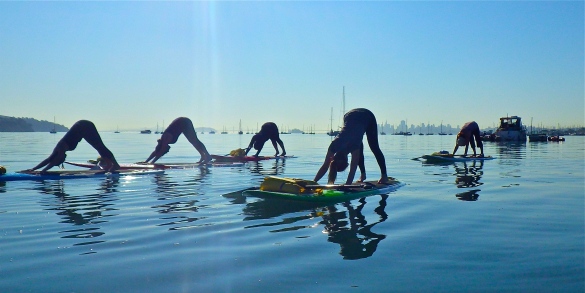 how to build a stand up paddle board
